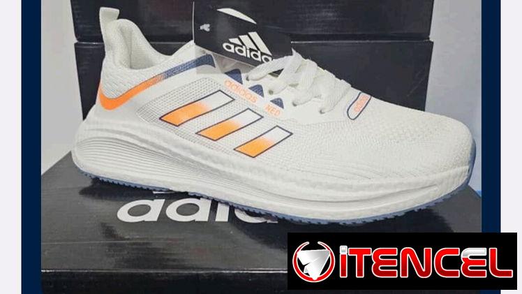 Tenis