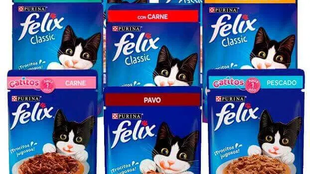 Comida húmeda para perros y gatos