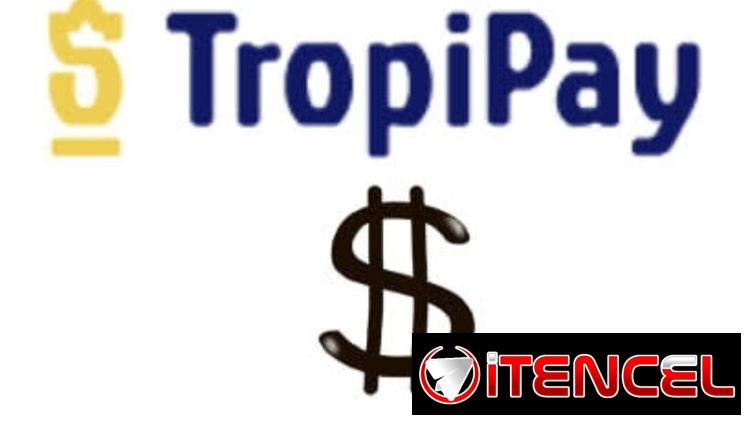 Servicios dinero