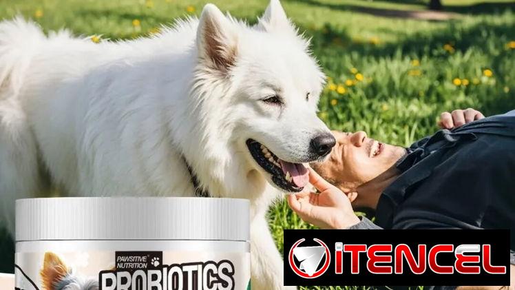 Probióticos para ayudar en la digestión de tu mascota
