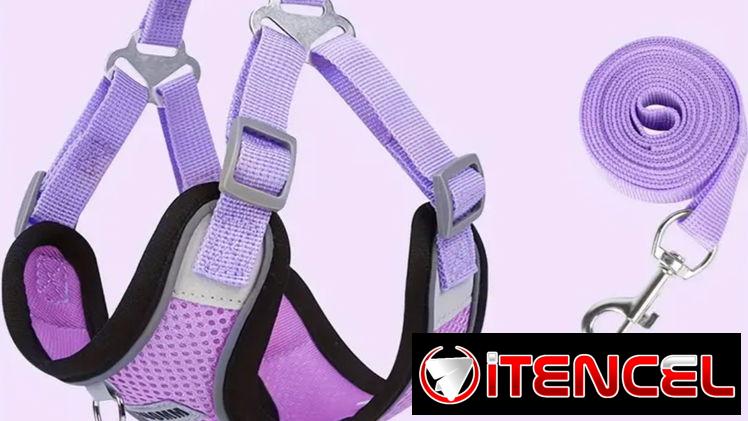 Correas con pecheras animadas !!! Para perritos o gatitos preciosas y diseños únicos