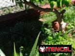 🧊Casa Muy Cerca de la Playa de 2 Habitaciones en Varadero REF 1433