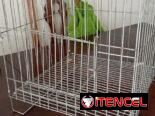 para palomas y aves