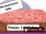 PICADILLO DE POLLO AMERICANO** 40LB=14500