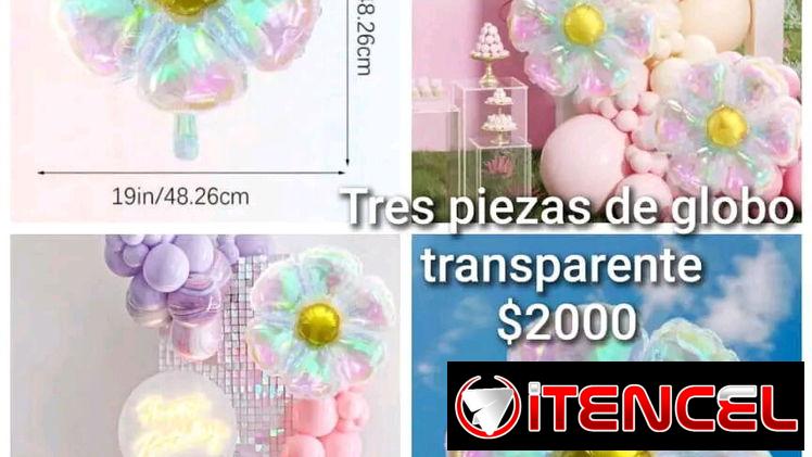 🌼✨ 3 globos transparentes tornasol