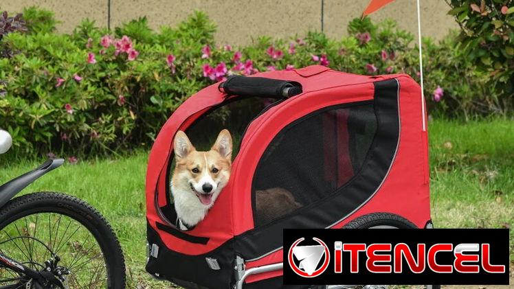 Remolque Bicicleta Perros
