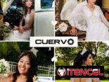 Fotos, video, trajes de Boda