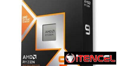 Micro AMD Ryzen 9 9900X3D