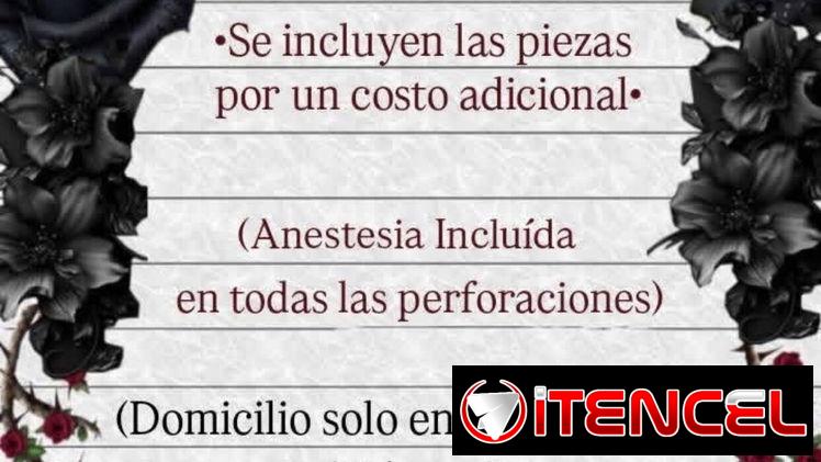 Perforaciones y Piercings