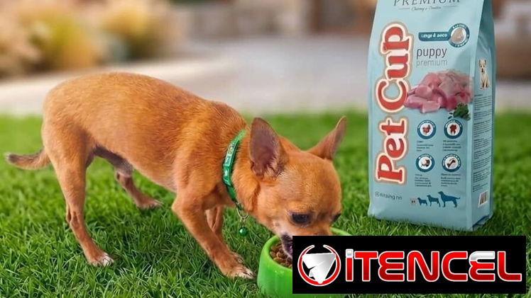 Pienso para Cachorro
