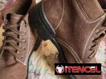 Calzado en Venta: Botas, Sandalias y Balerinas!!!