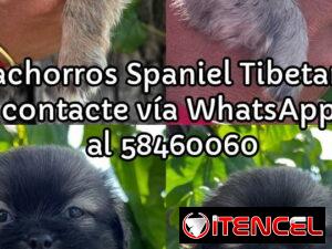 686356516e46477e278c96485d802a125c46ca2696e6ff947fc559c546d8e5be