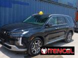 Vendo o negocio yhunday palisade callygrafy del 2023 Con 20 mil millas