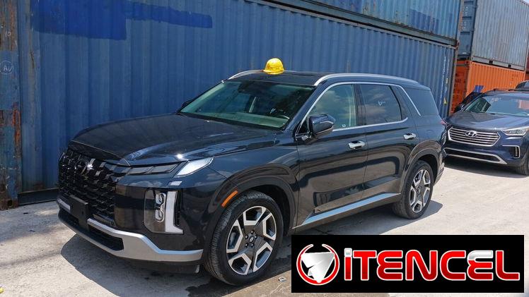 Vendo o negocio yhunday palisade callygrafy del 2023 Con 20 mil millas