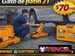 GATO DE PATÍN 2t