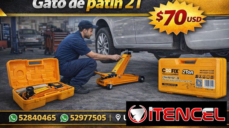 GATO DE PATÍN 2t