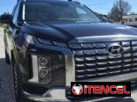 Vendo negocio, Hyundai Palisades, 2023 calligraphy