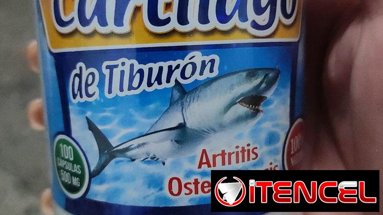 CARTILAGO DE TIBURON