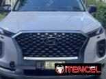 Hyunday Palisade caligraphe 2021