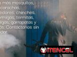 FUMIGADOR-CONTROLADOR DE PLAGAS-EXTERMINADOR. FUMIGACIÓN DE chinche cucaracha garrapatas mosquitos ratones moscas