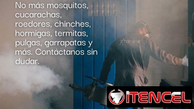 FUMIGADOR-CONTROLADOR DE PLAGAS-EXTERMINADOR. FUMIGACIÓN DE chinche cucaracha garrapatas mosquitos ratones moscas