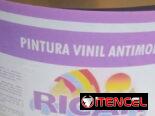 Vinil Antimoho Blanco Nieve !