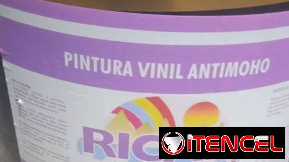 Vinil Antimoho Blanco Nieve !