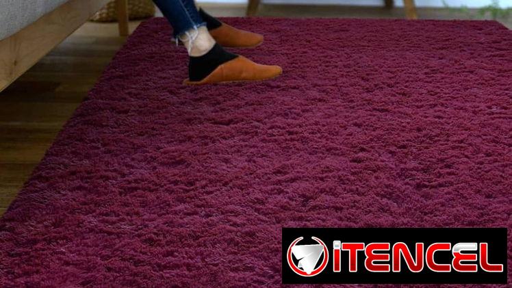 Alfombras Decorativa para sala y cuatro