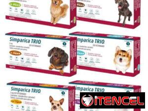 6946ff68a0b46c8662c120919e1bfa440ec84091358ce5ae37cda9a5bc9523af
