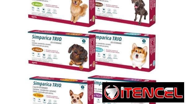 Simparica trío