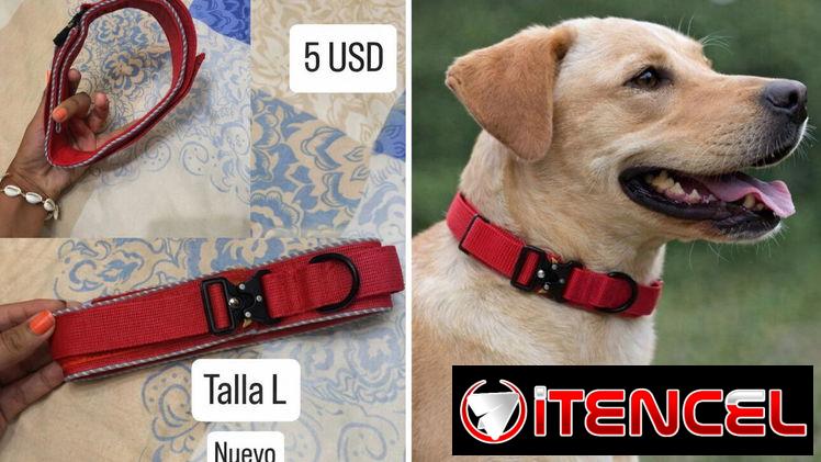 COLLAR DE PERRO NUEVO