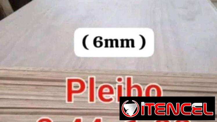 Pleiwo