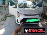 Vendo un negocio, Kia Picanto, 2025 básico con 9500 km