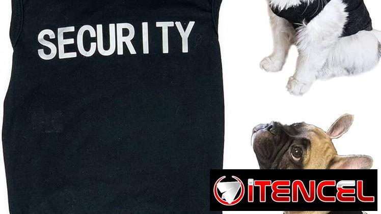 Ropa para tu mascota