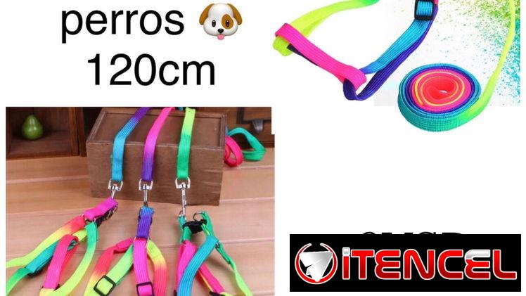 Articulos para mascotas