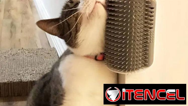 Rascador para Gatos