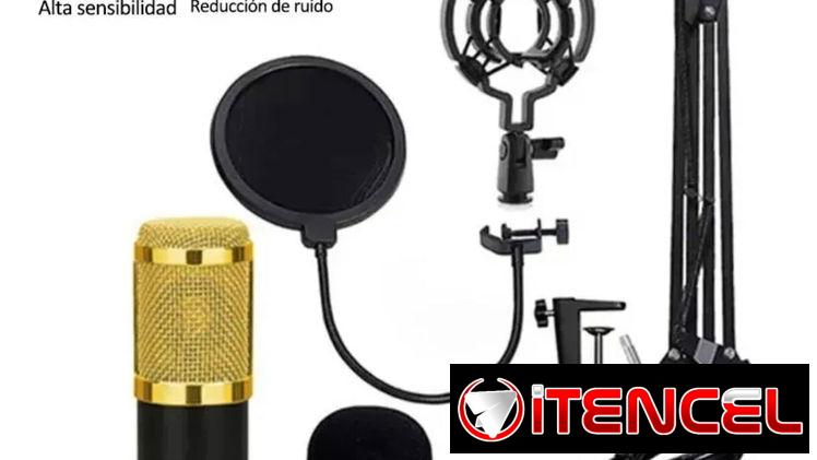 Micrófono profesional