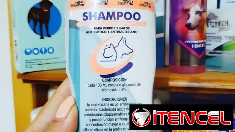 Shampoo de Clorhexidina 240ml