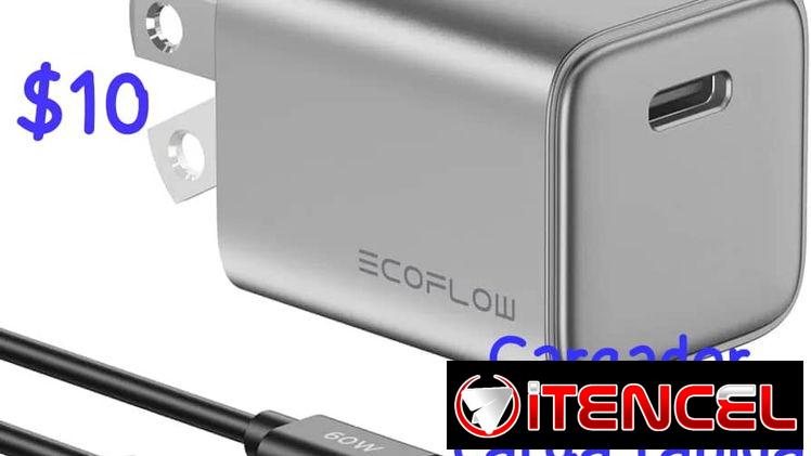 Cargador multipuertos y adaptador OTG