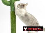 Rascadores para Gatos [ Diferentes Modelos]