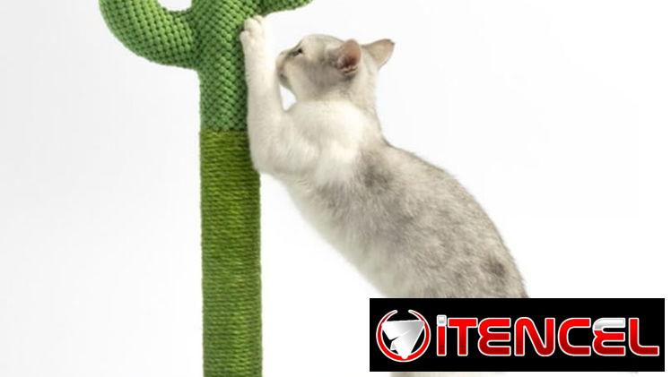 Rascadores para Gatos [ Diferentes Modelos]