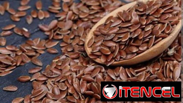 Linaza natural 200g $2000