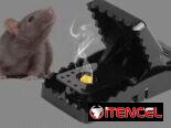 Ratoneras