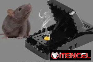6b2fe65435e12f40c6e553dc9bedd1dabc2eaaa02ebaf310bffcc34824378e75