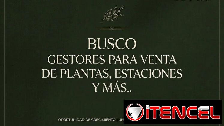 Busco gestores de venta para plantas, estaciones de energía, Kits y paneles solares, generadores, baterías y más… 💱co
