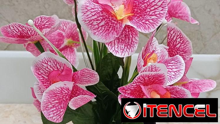 🌺Maceta con orquídea – 13usd🌺