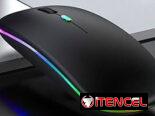 Mouse Inalámbrico