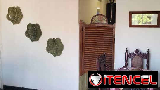 Renta de lujo Lineal o por noches Miramar 320 usd 53582376