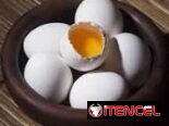 1 Caja de 12 cartones de Huevos blancos