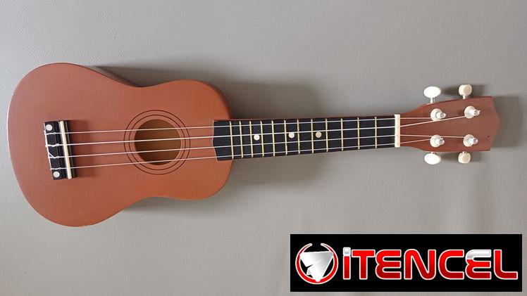 SE VENDE UKELELE